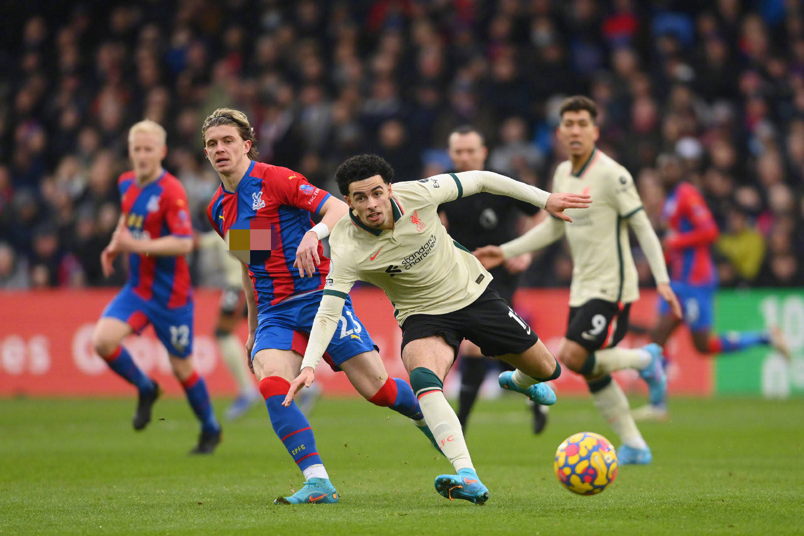 持不仅增进 持不仅增进